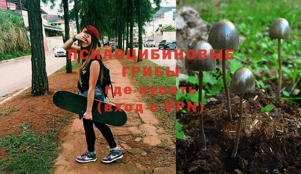 прущая мука Абдулино